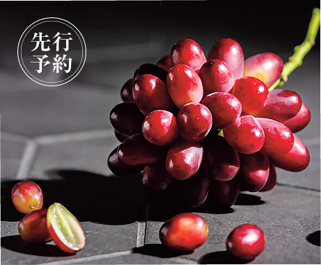 神紅 SHINKU