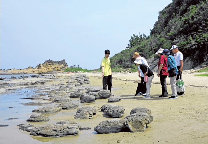 石見畳ヶ浦・化石ガイドウォーク